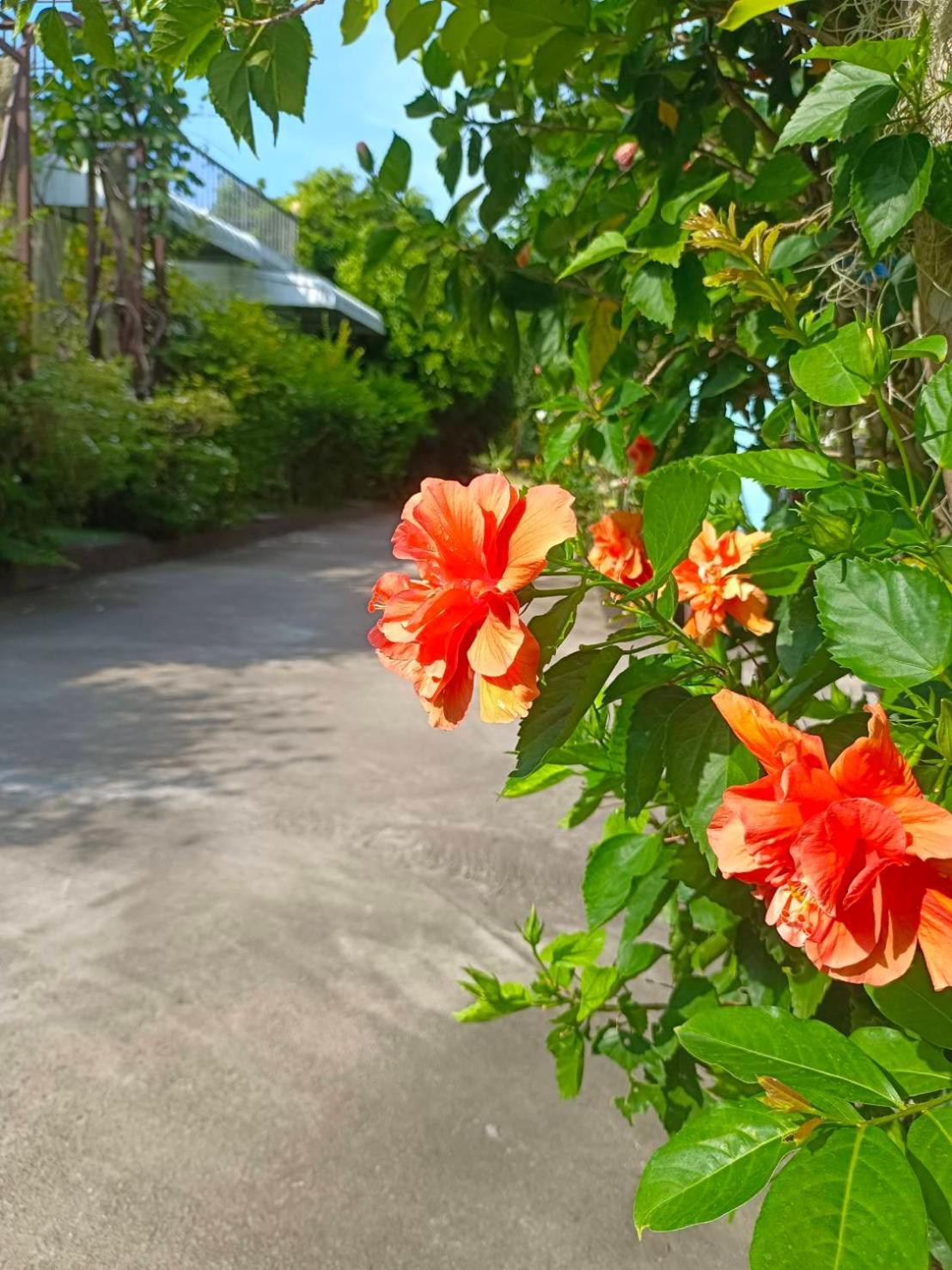 Phannarai House Lamai Beach  Dış mekan fotoğraf