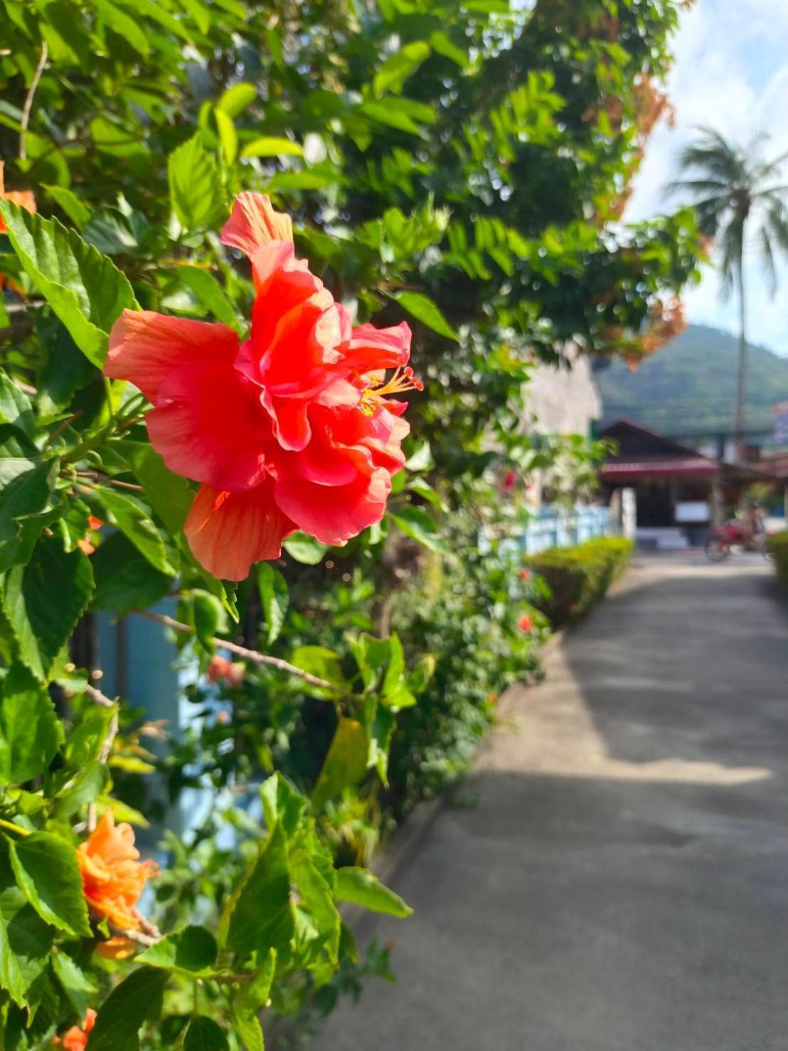 Phannarai House Lamai Beach  Dış mekan fotoğraf
