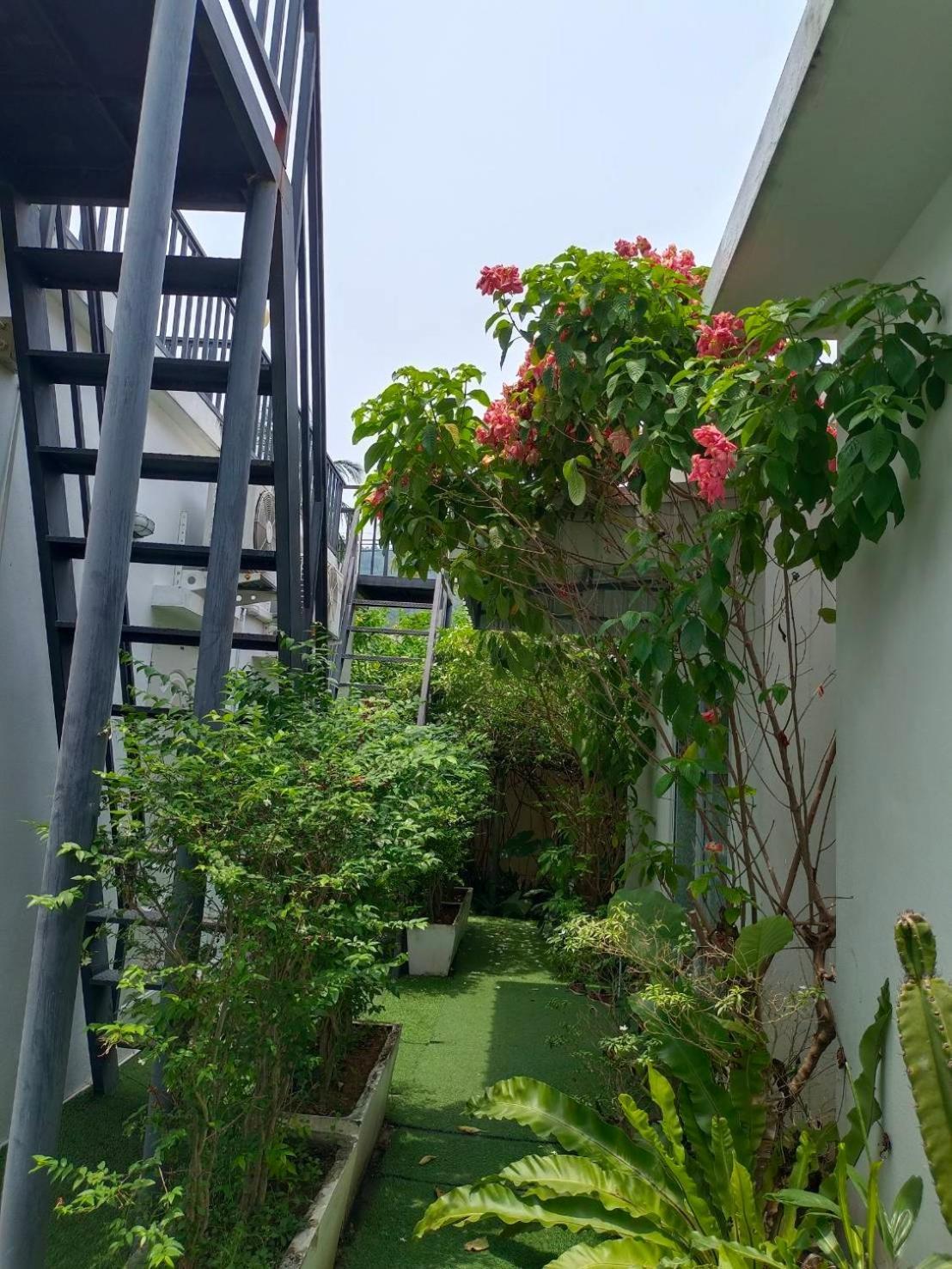 Phannarai House Lamai Beach  Dış mekan fotoğraf