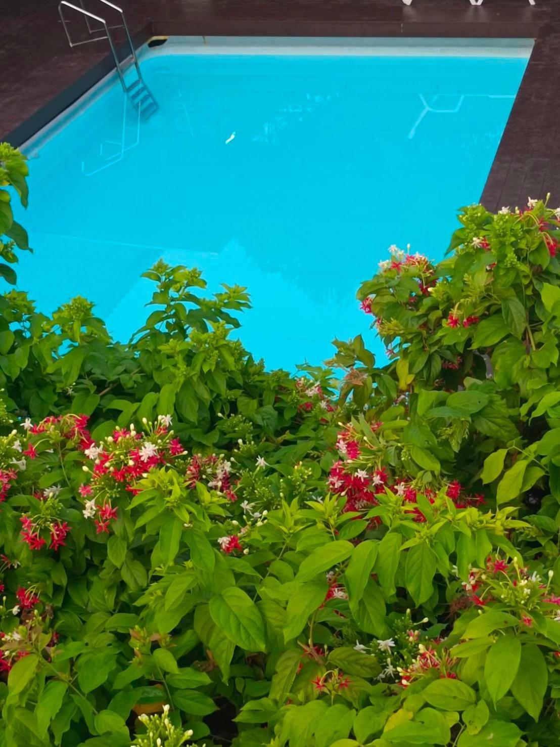 Phannarai House Lamai Beach  Dış mekan fotoğraf