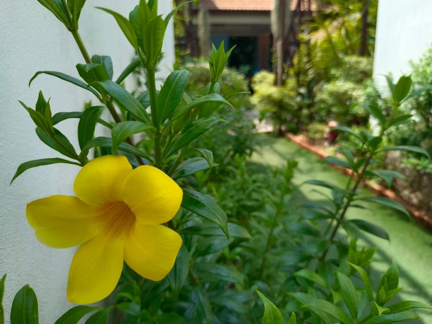 Phannarai House Lamai Beach  Dış mekan fotoğraf